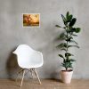 The Watcher - Surreal Fine Art Framed Print - Image 12